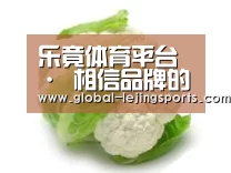 产品名称九