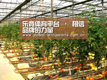 种植基地二