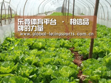 种植基地五