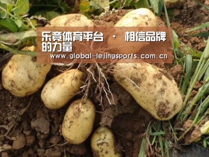 种植基地六