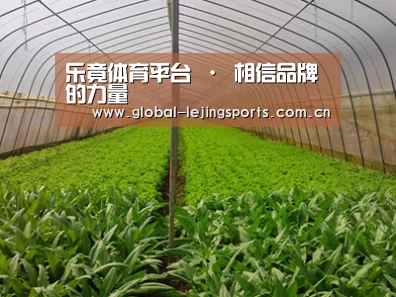 种植基地四