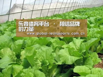 种植基地一