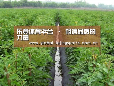 种植基地三