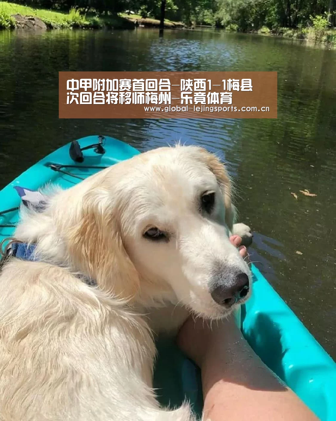 乐竟app