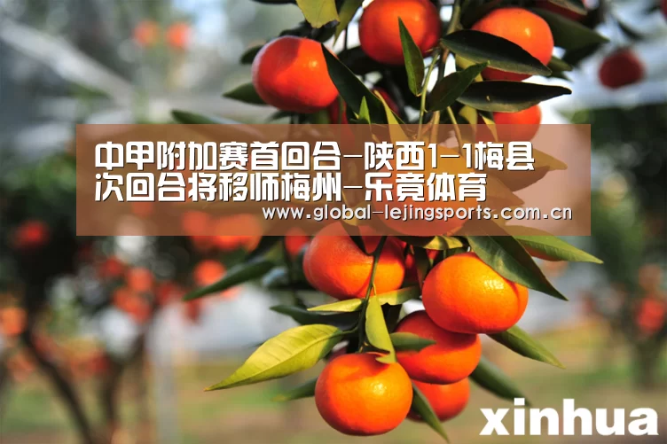 乐竟官网