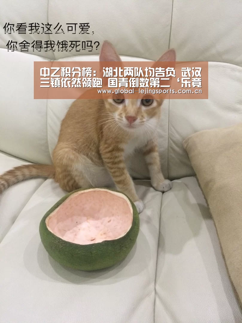 中乙积分榜:湖北两队均告负 武汉三镇依然领跑 国青倒数第二‘乐竟体育’(图2) 乐竟官网