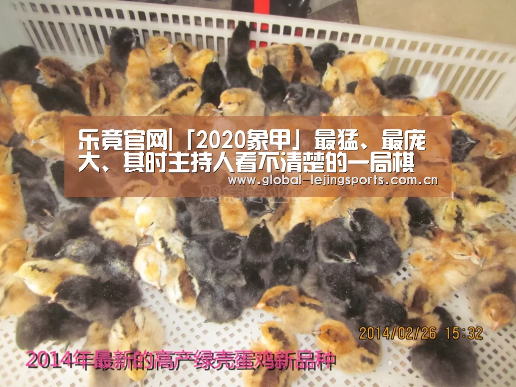 乐竟赛事
