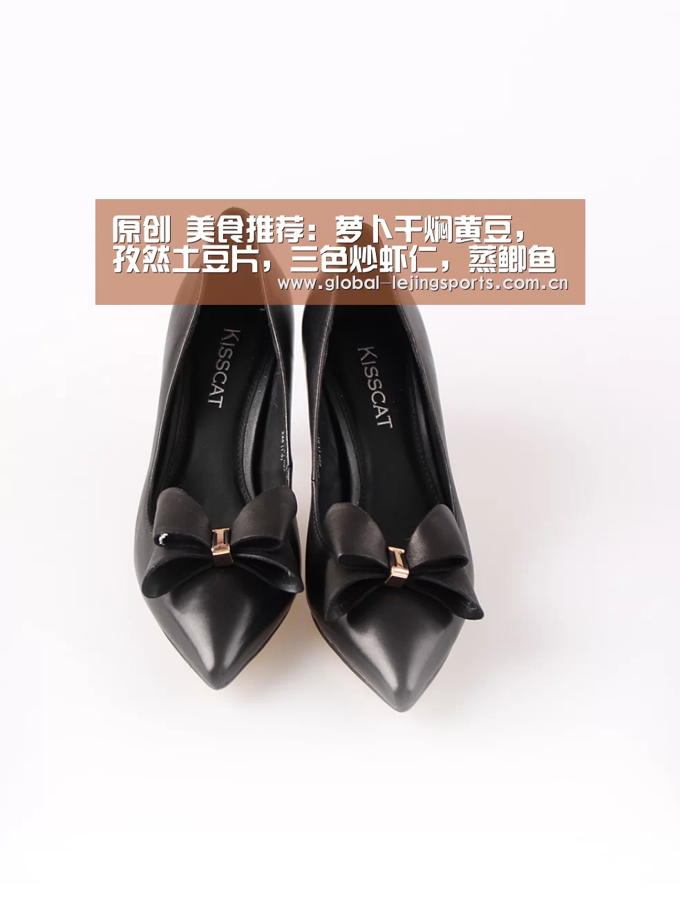乐竟官网