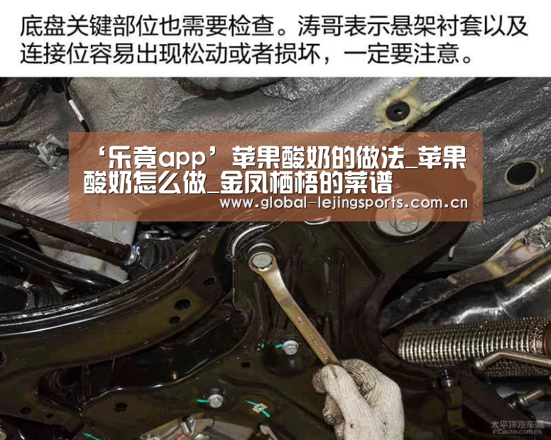 乐竟官网