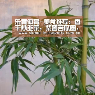 乐竟赛事